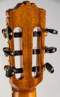 Cordoba C9 Cedar Classical Guitar inc Polyfoam Case